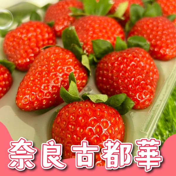 【奈良之光】古都華草莓 