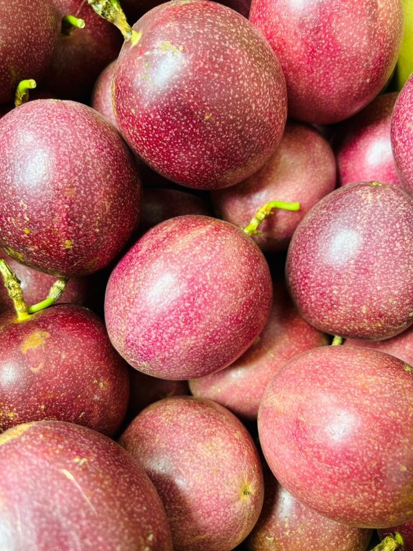 <少量零購>紫雲百香果 