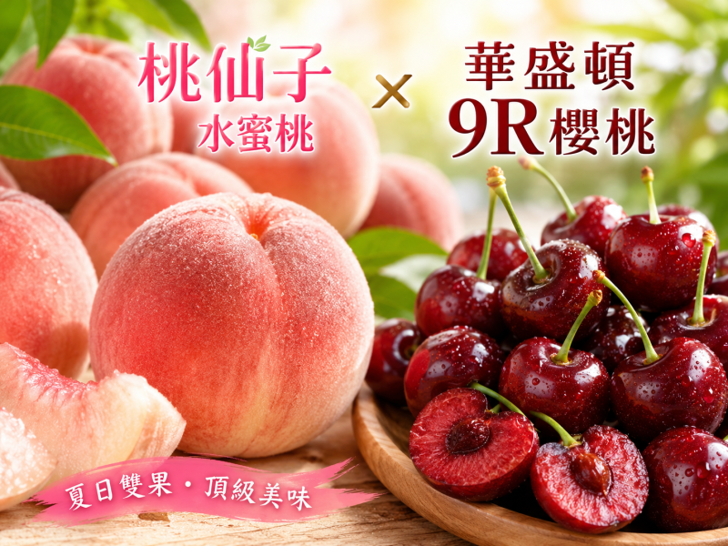夏日雙果【桃仙子15/16品規/華盛頓9R櫻桃】 