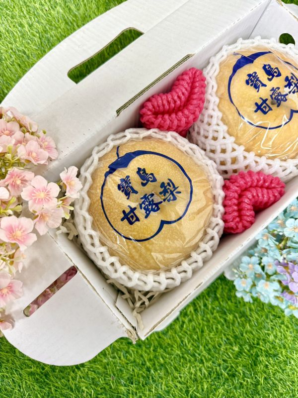 <中秋熱銷>巨無霸甘露梨2入手提禮 