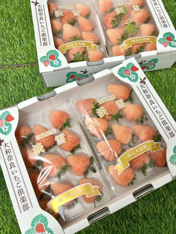 日本奈良淡雪草莓 