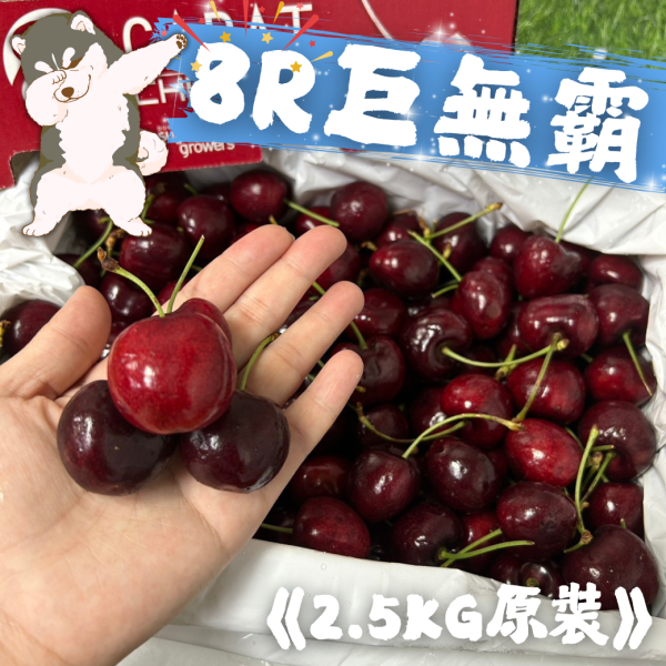 【8R巨無霸2.5公斤原裝】華盛頓櫻桃 