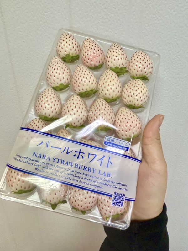 日本奈良白珍珠草莓 