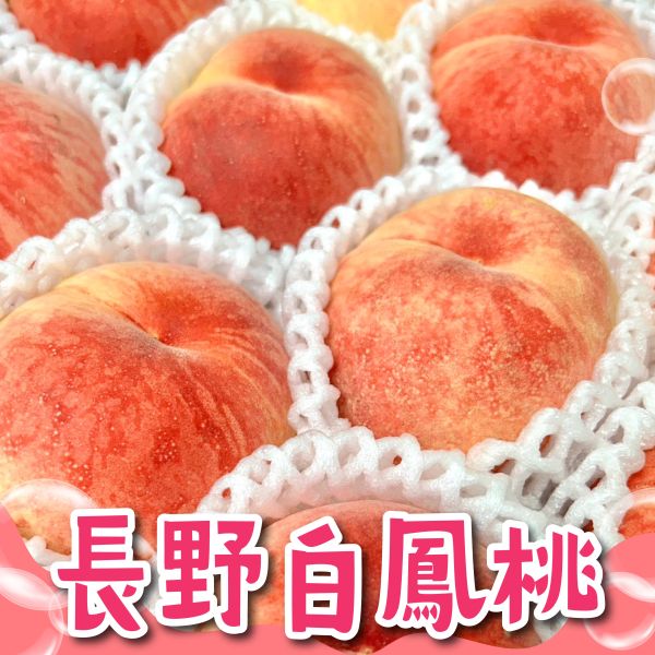 長野志賀<白鳳桃> 