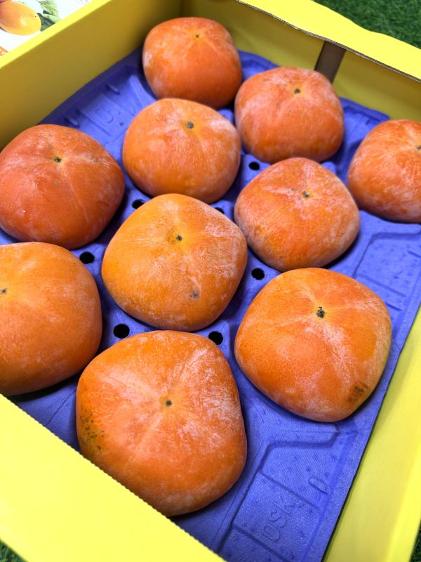 熊本黑糖甜柿 