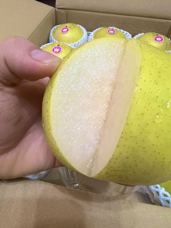 【雙十優惠】<當日配送>日本鳥取梨(皮花) 