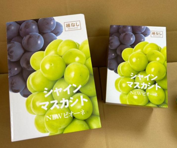 【日本長野須高】麝香葡萄 