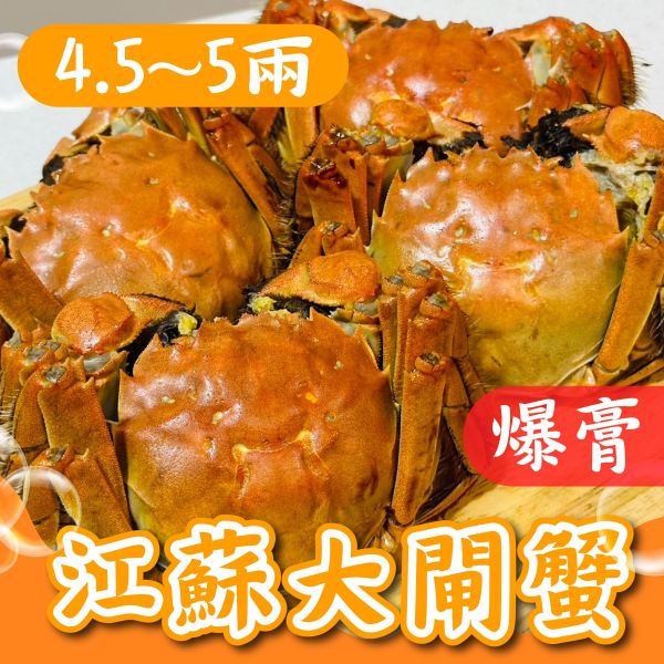 【預購】江蘇大閘蟹【4.5~5兩】 