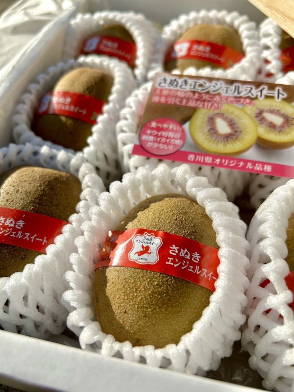 <年節禮盒>S032日本香川紅心奇異果9玉 