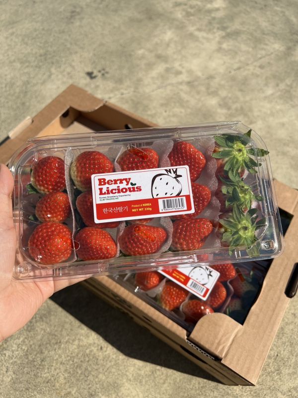 韓國空運草莓 