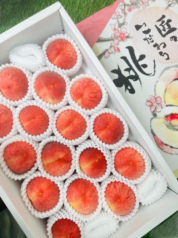 (香氣冠軍)日本山形縣白桃 