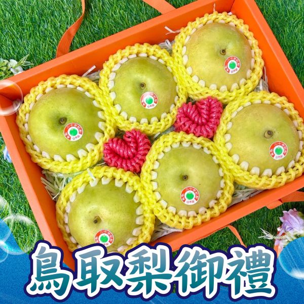 <中秋熱銷> 經典鳥取梨御禮 