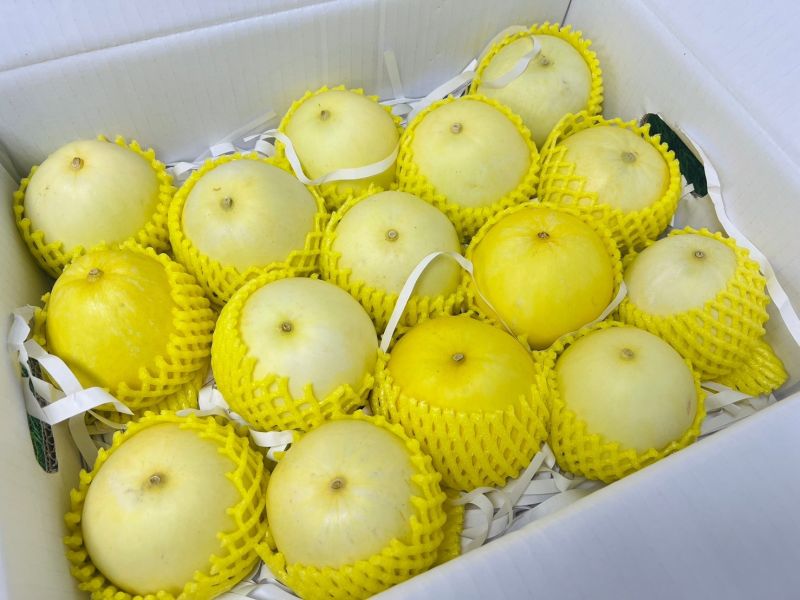 超好吃溫室美濃香瓜 