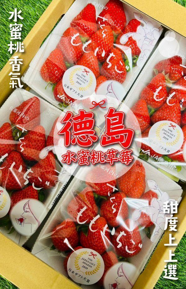 <少量零購>德島櫻桃草莓禮盒 