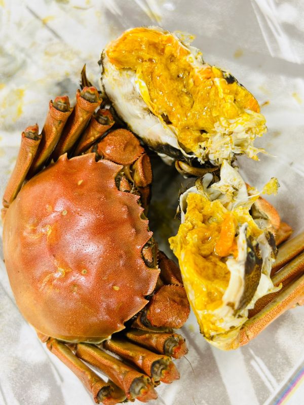 <3A巨無霸>江蘇大閘蟹【6.4~7.1兩】 