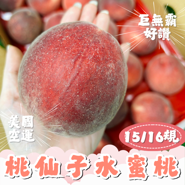 【巨無霸】誼馨園桃仙子水蜜桃 