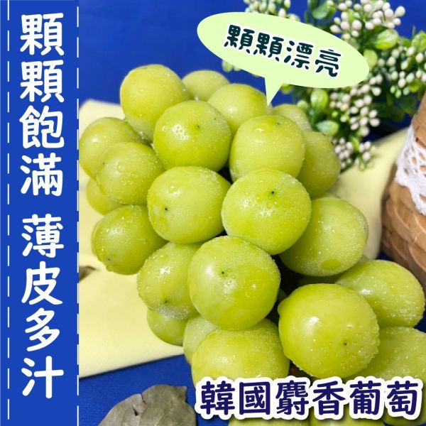 韓國麝香葡萄 