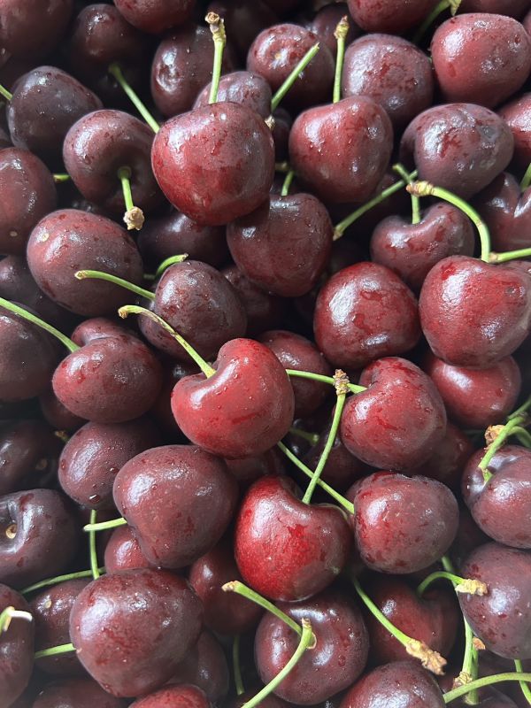 【30mm】智利<吉制櫻桃> 