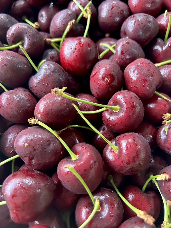 【30mm】智利<吉制櫻桃> 