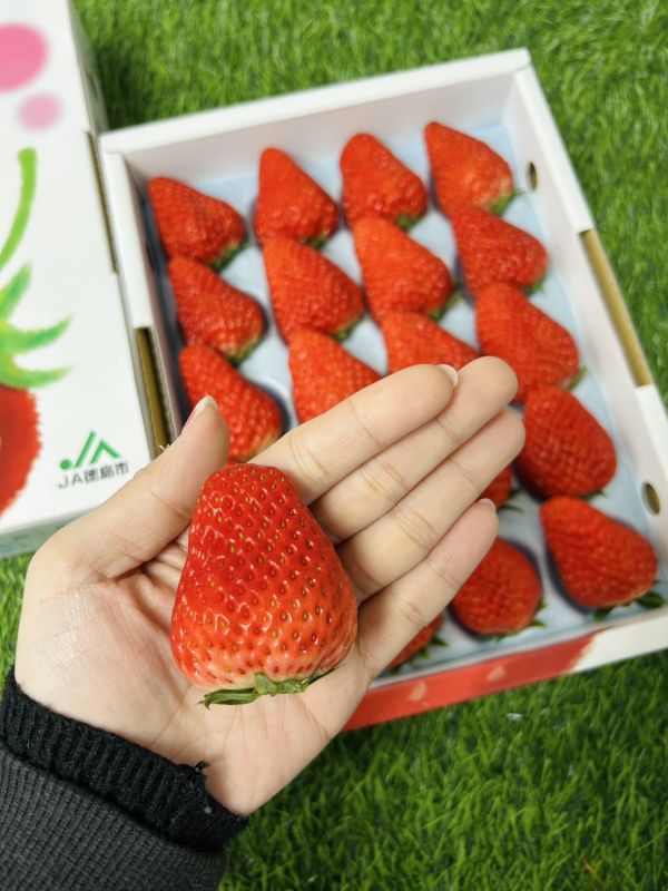 日本德島眉山草莓 