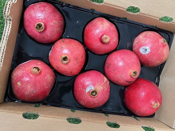 <少量零購>美國紅石榴 