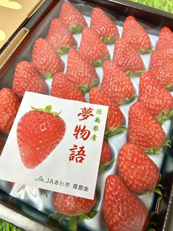 日本德島【阿波莓】夢物語 