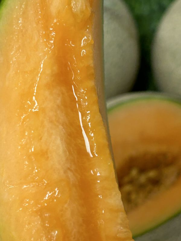 <少量零購>七股香紅肉哈密瓜 