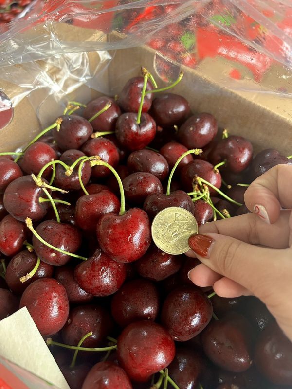 【32mm】智利<吉制櫻桃> 