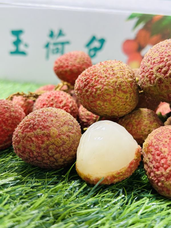 <少量零購>玉荷包 
