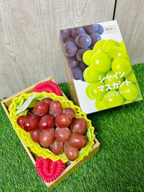 日本長野妃紅緹紅葡萄 