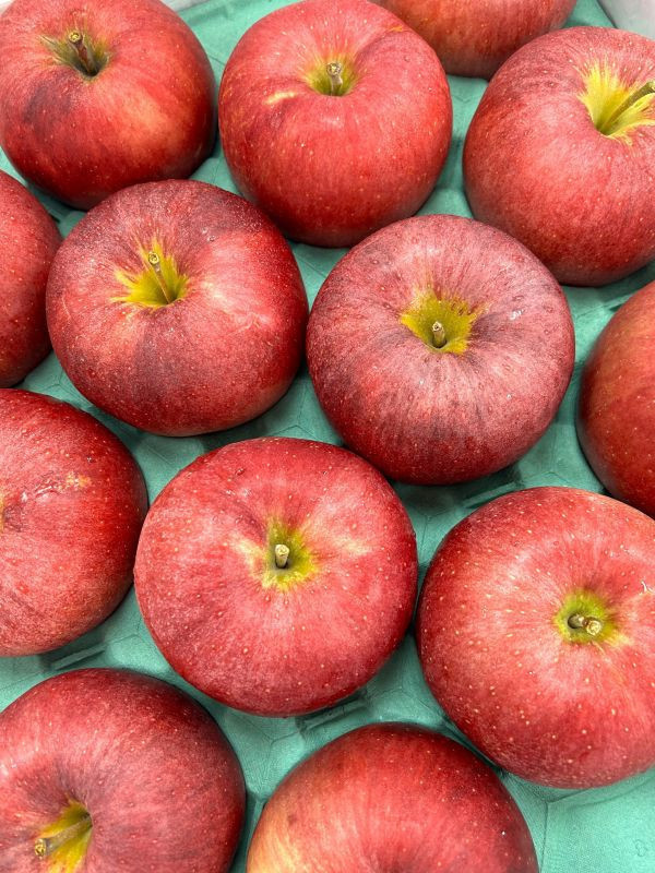 <少量零購>(大果)日本青森大紅榮蘋果26規 