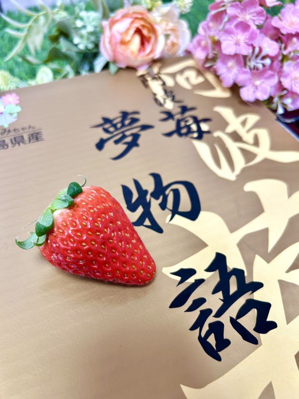 日本德島【阿波莓】夢物語 