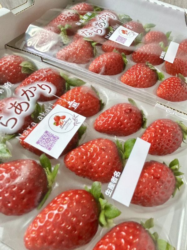 【奈良之光】古都華草莓 