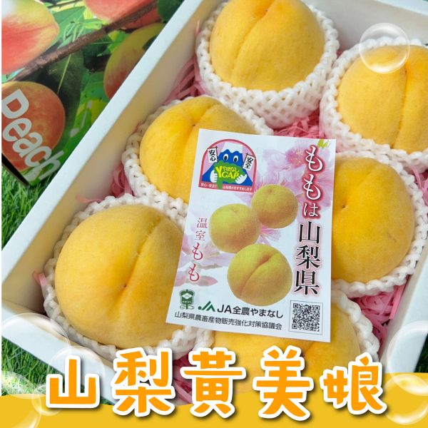 山梨黃金桃(黃美娘) 