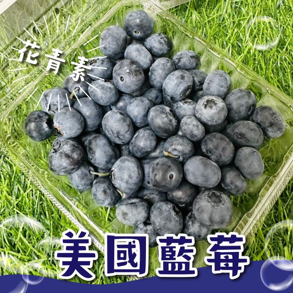 美國藍莓 