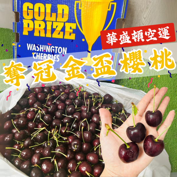 金盃-9R華盛頓櫻桃 