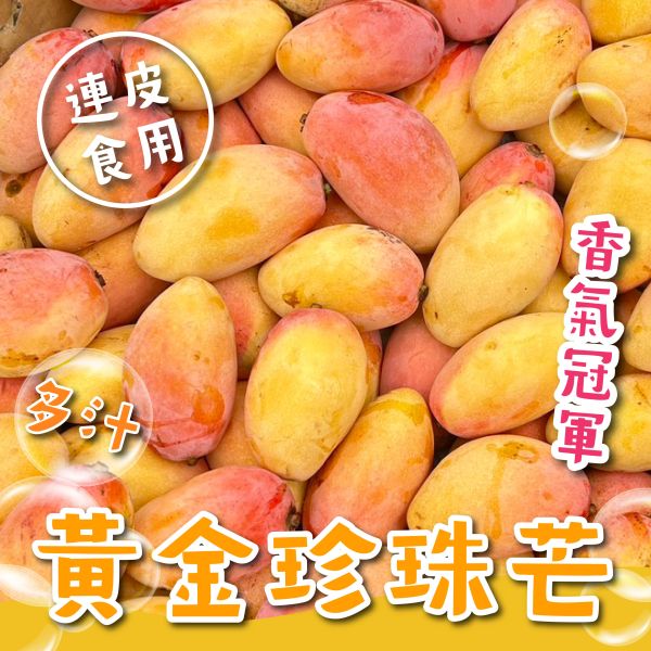 【超稀有】黃金珍珠芒(枇杷芒) 