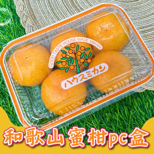 日本和歌山小蜜柑PC盒 