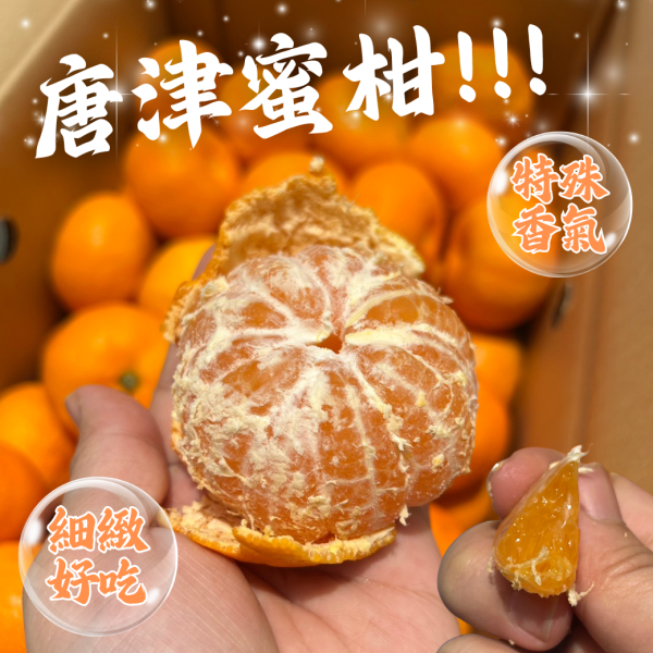 日本唐津大蜜柑 