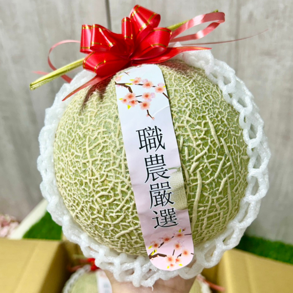 【巨無霸】阿露斯綠肉哈密瓜 