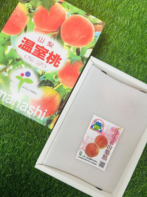 <少量零購>日本山梨溫室白鳳桃 