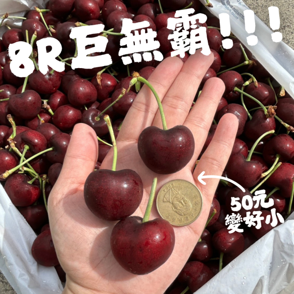 【8R巨無霸】華盛頓空運櫻桃 