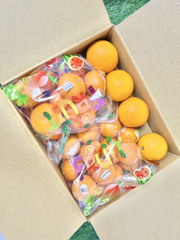 柑橘優惠箱 