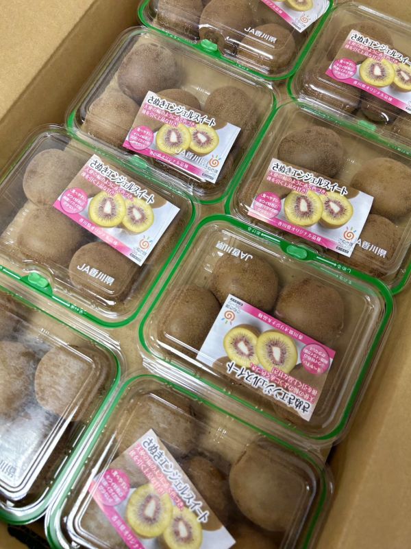 日本香川紅心奇異果PC盒 