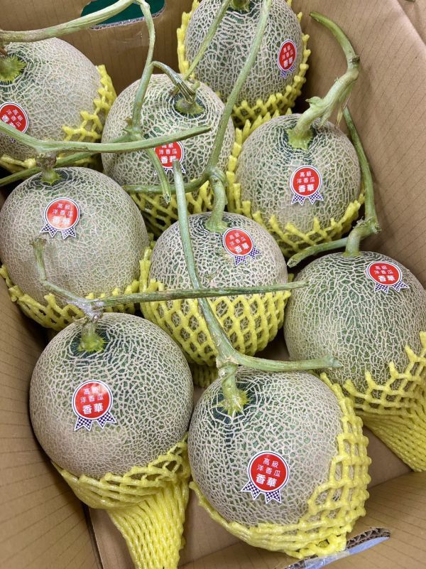 <少量零購>香華高級哈密瓜 