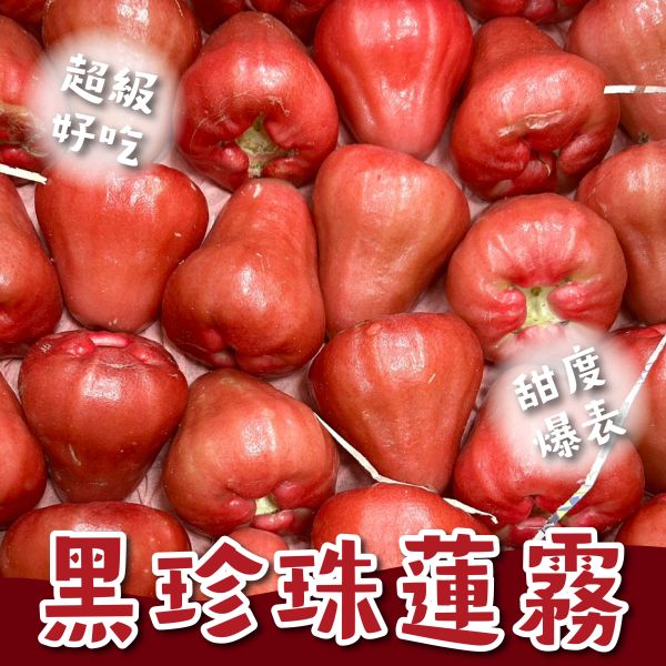 爆甜!黑珍珠蓮霧! 