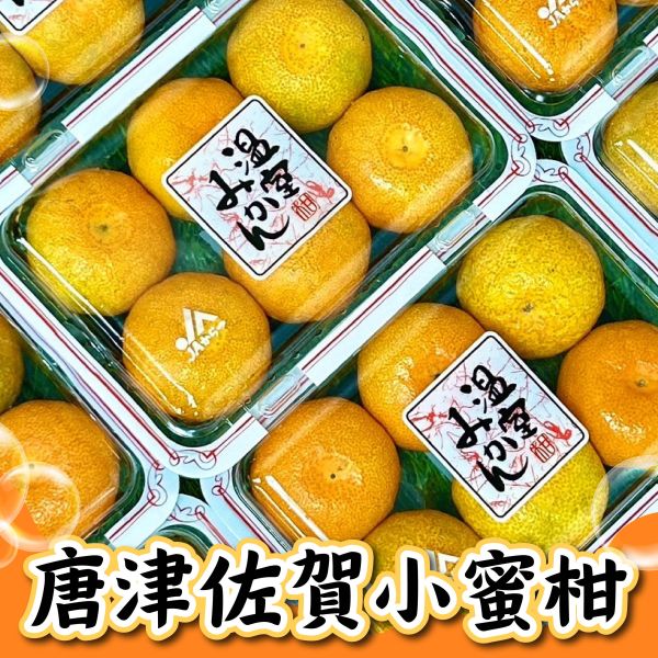 唐津佐賀小蜜柑 