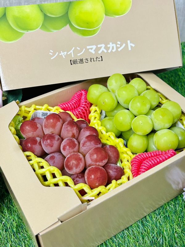 <精緻禮盒>日本麝香+妃紅緹雙拼 