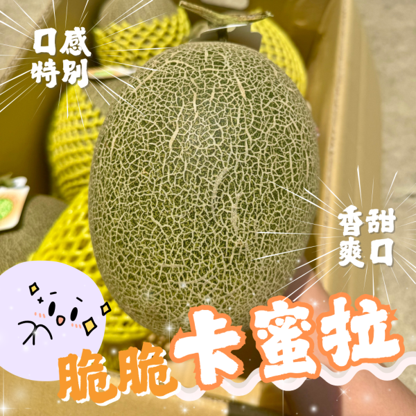 卡蜜拉脆脆哈密瓜 
