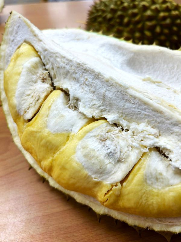 <少量零購>干堯榴槤 